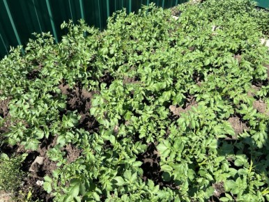 ������������� �������� �������: ������� ����� �������� ��� �������� ������