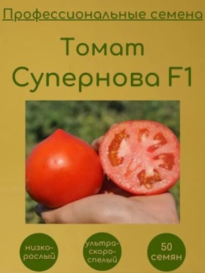 Томат Супернова: спокойный взгляд на крупноплодный гибрид и его устойчивость к погоде
