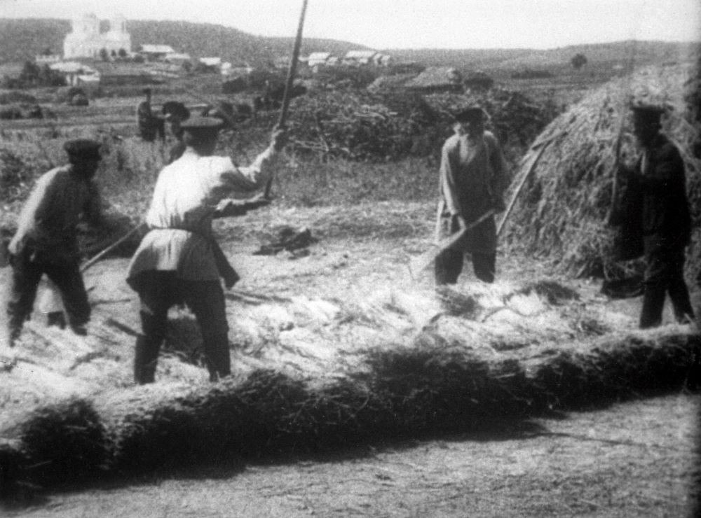 Заметки на полях. С писем Александра Энгельгардта из деревни началась русская агрохимия Заметки на полях. С писем Александра Энгельгардта из деревни началась русская агрохимия