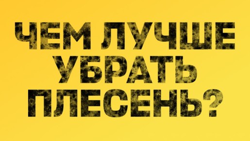 Плесень в доме: народные методы против профессиональной химии — что выбрать?