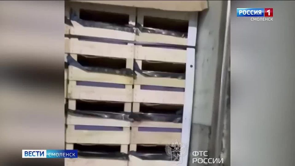 �������������� �� �������� ������ 10 ��� ������