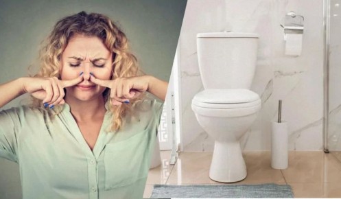 Как избавиться от неприятных запахов в туалете: простые и эффективные советы