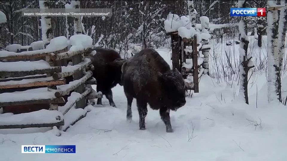 ���������� �������� ���������� �������� ������ ������� �� ����� ������