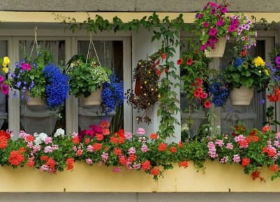 Как создать уютный сад на балконе: секреты успешного озеленения