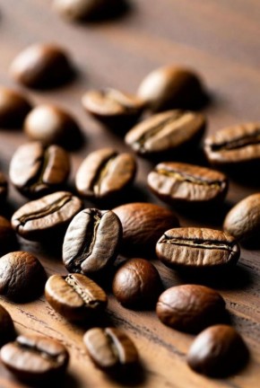 �������� � ����: ����� ����� �������� ���