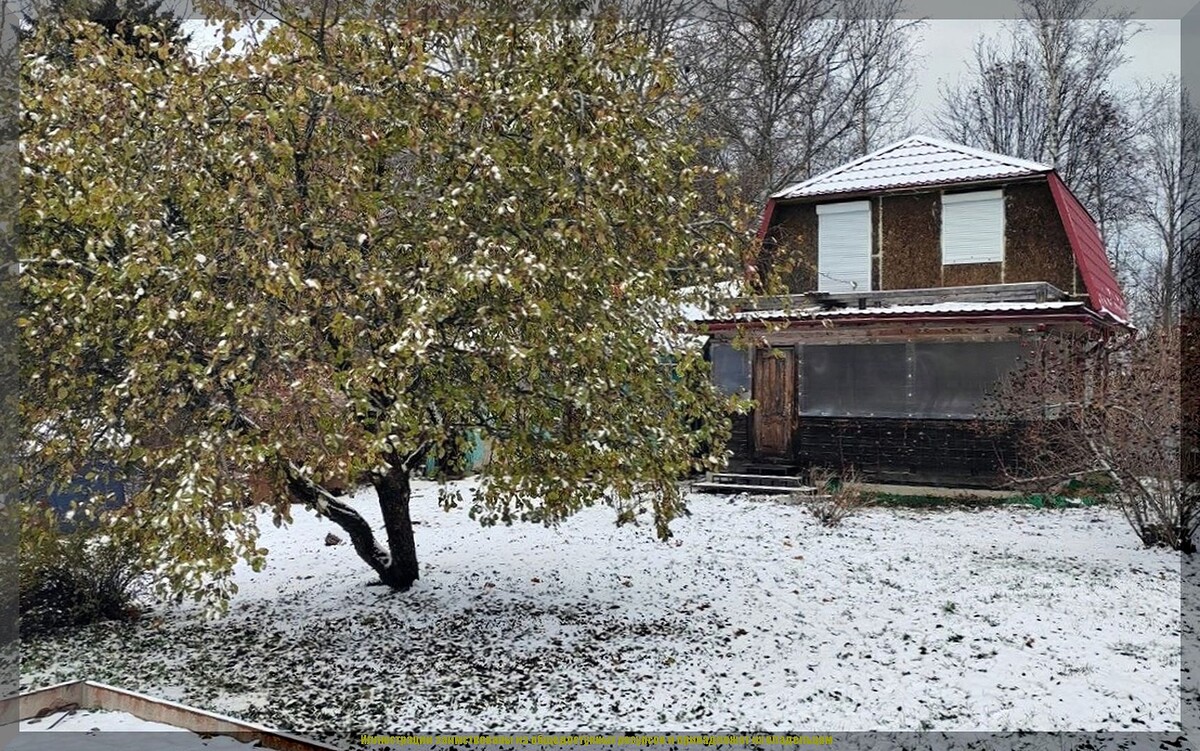Зимние заботы дачника: как подготовить сад к холодам