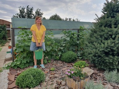 Огурцы, которые легко выращивать: выбираем лучшие сорта для отличного урожая