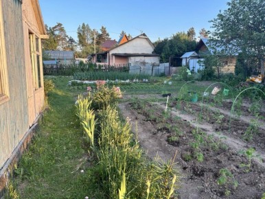 Как создать удивительный домашний огород