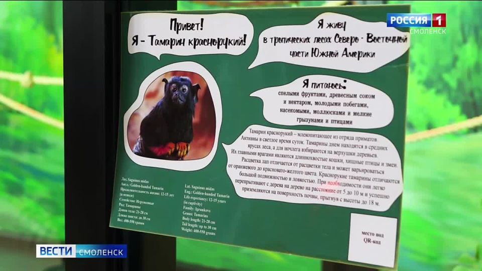 � �������-������������� ������ ��������� ����� ����������