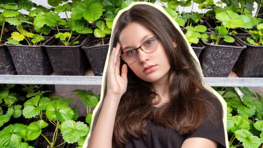 ��������� ������� �������� ����� ��������� �� ����� ��������: ������ �����������