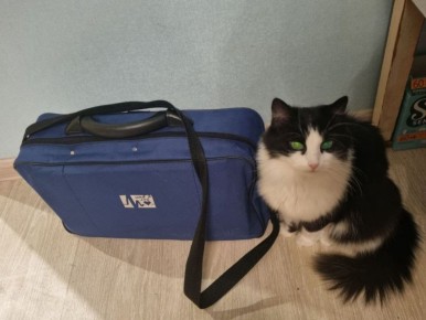 ����� ������ ������ �� ���������� �������