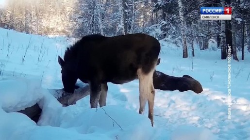 ����� �� ������������� ����� ����������� �������� �������� �� ������