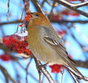 �������� ������ ������, ������!