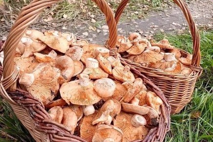 ��������� � ���: ��� ���������� ��������� ����� ����� ��� ���������