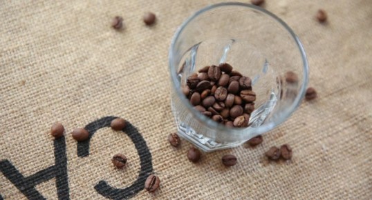 ��� ������ ������ ���� � ������ ������ �� ����� specialty coffee