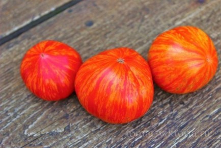 ���� ������� ���� � ���������� ����� � ������ ���������� �������