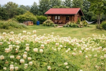 ������� �������� ���������� �������� ���������: ������������ ������ �� ����� �������