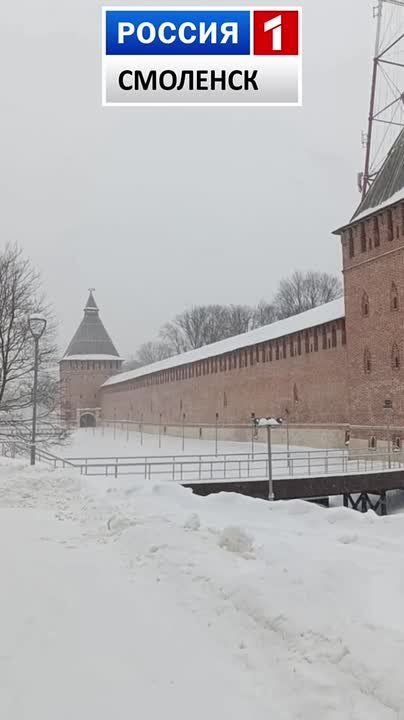 Смоляне оказались во власти "Тамары"