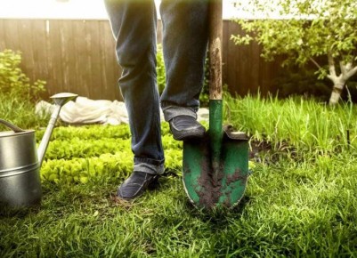 ��� ������� ��������� ������ ��� ����: ���������� ��� �����������?