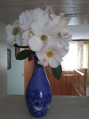 ���� Sally Holmes: ���������� �������� � ��������� � ���� ���������