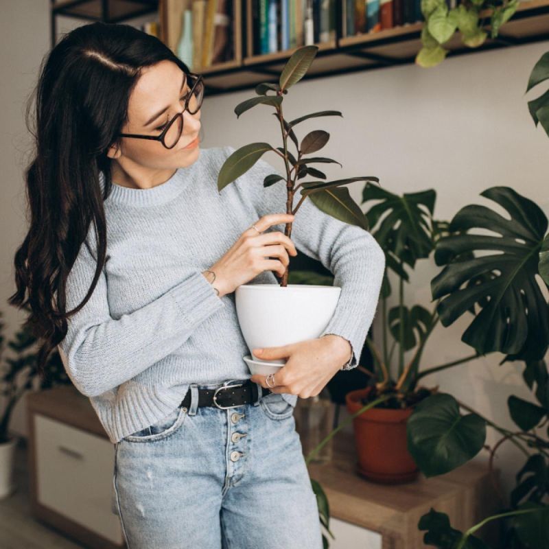 ��� ������� ����� ��������� ��������� � ����������: ������ � ��������