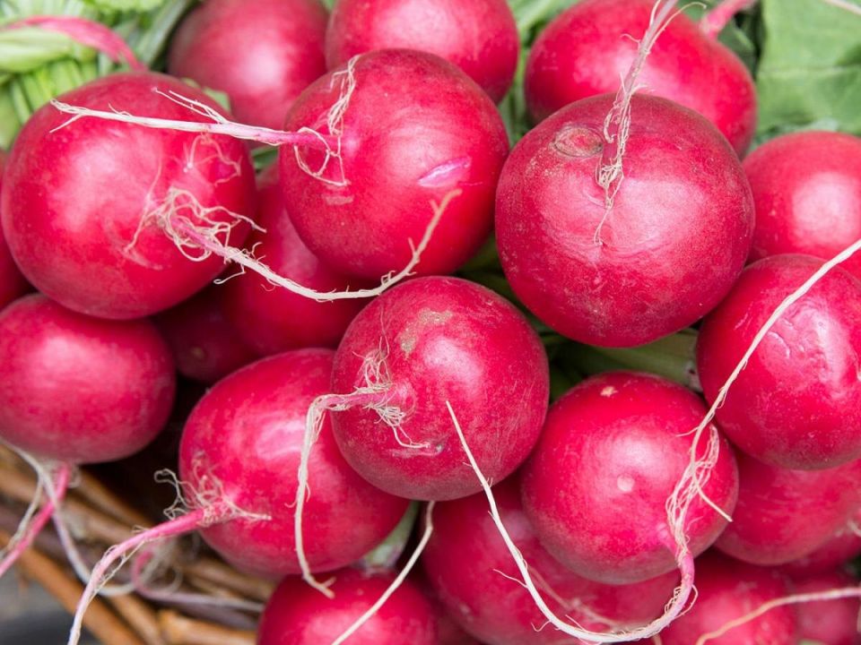 ��������� ���� ��� �������� ������: ��� ��� ������� �������� ������