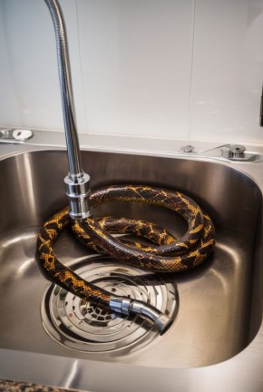 ��� ������� � ������������ ���� ��� ������ ����