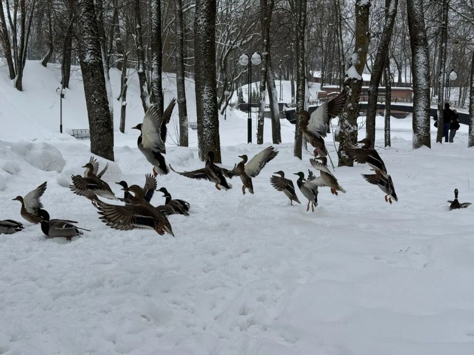 �� ���������� ������ ������