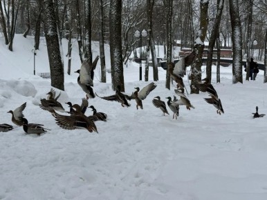 �� ���������� ������ ������