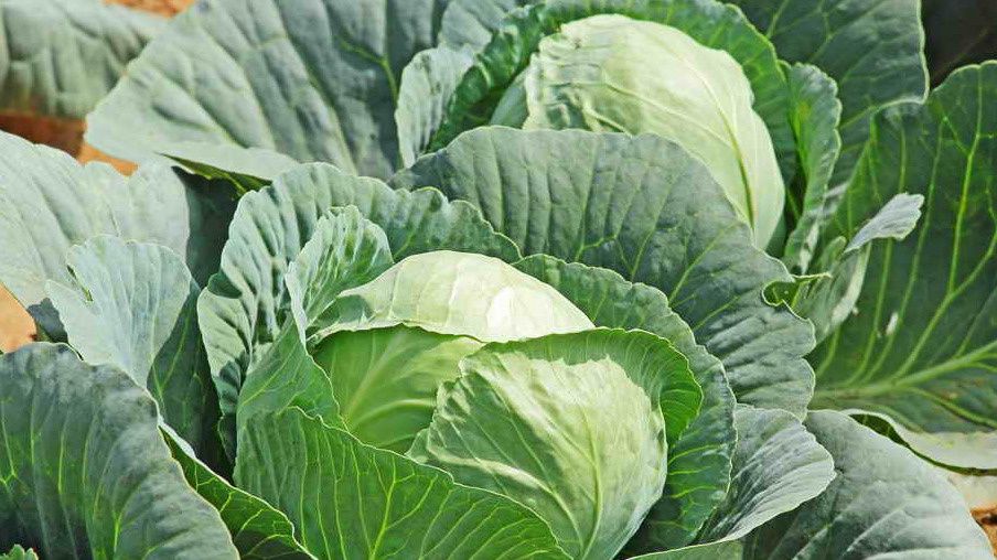 ��� � �������� �������� �� 3�5 �� ������� ��� �����: ��������� �������� ����� �� 3 ����