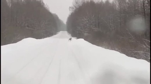 ������ ������������� � ������ ����� �������� �� ������