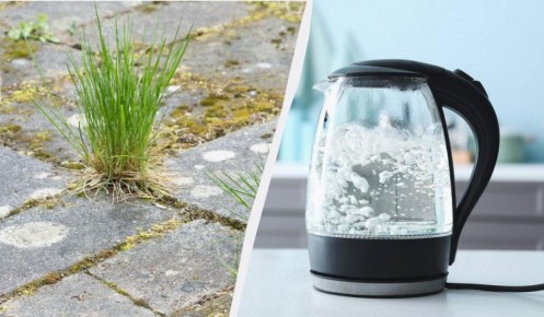 Как легко избавиться от сорняков между плиткой: простое решение