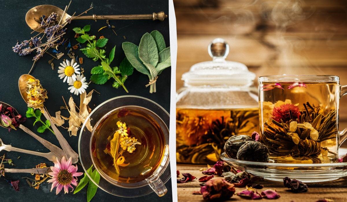 Как ежедневное наслаждение травяным чаем меняет ваше тело и душу