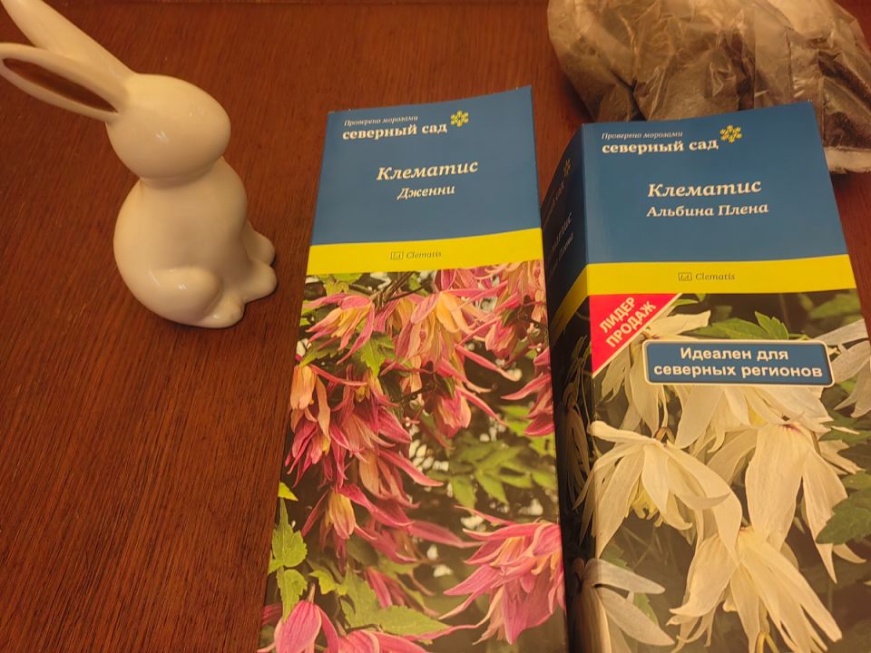 ��� ������ ����� �������� ��� ��� � �����: ����������� ������ ��� ��������