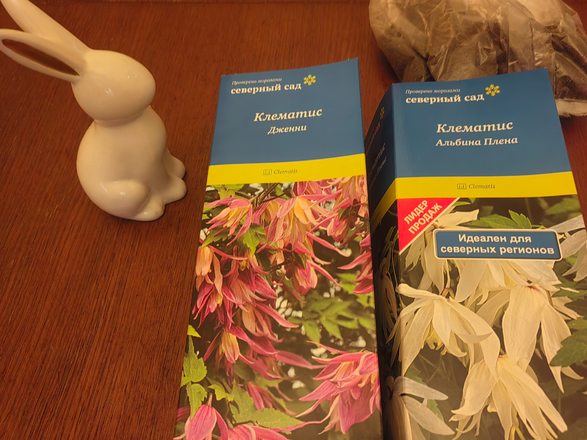 Как княжик может изменить ваш сад и жизнь: неожиданные советы для дачников