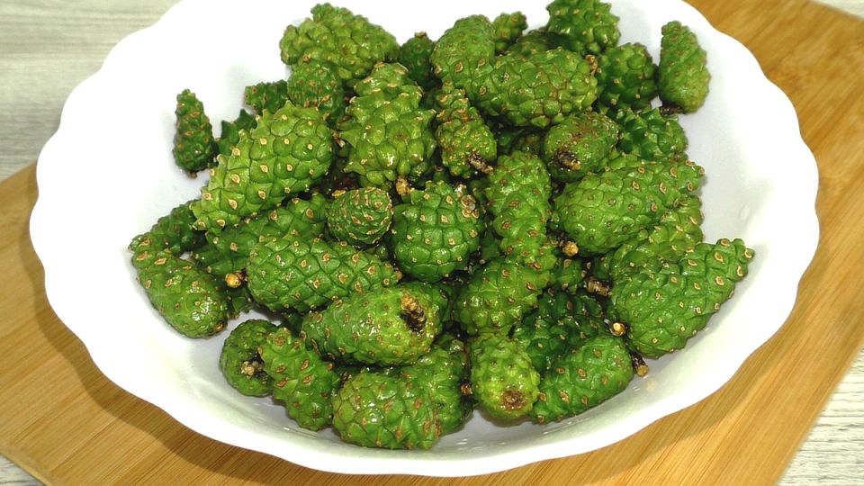 �������� �����: ������������ ������� ������� �� ���������� ������� �������