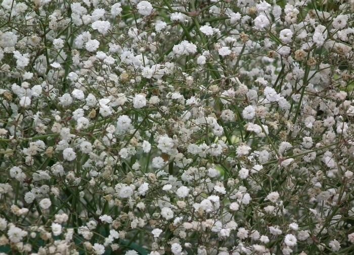 ������� ���������: ��� ������� ��� ��� ����� �� 3 ������� ����