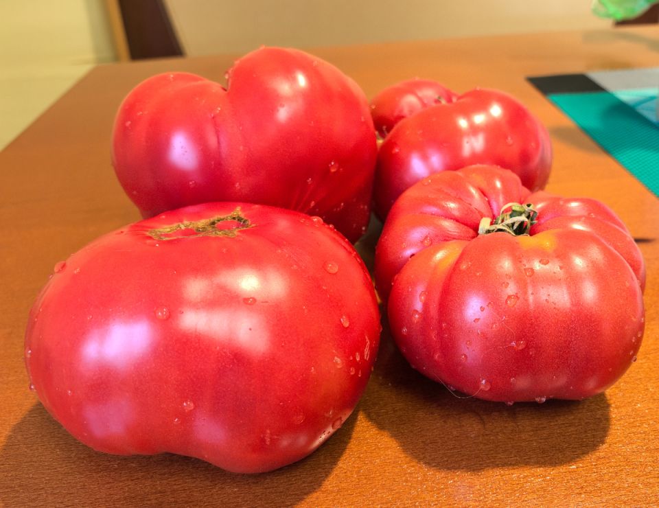 ��� ��������� ��������� ������: ��� �����, ������� ������� ���� ������������� � �����