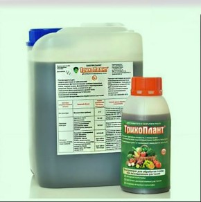 ��� ������� ������������ ��� �������: ������� ���������� ������