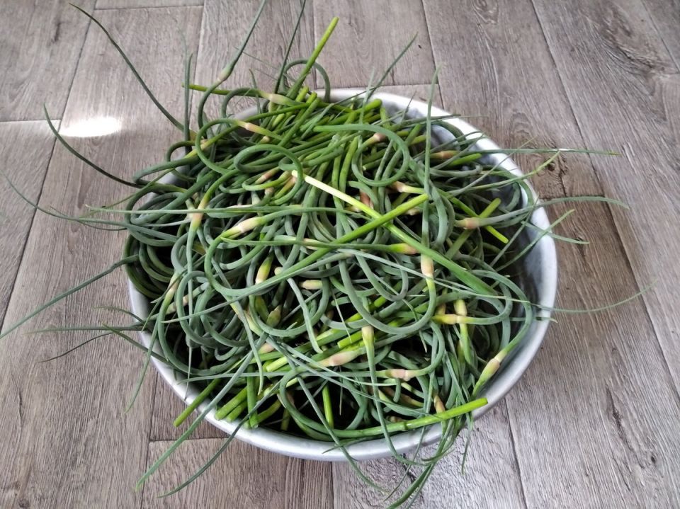 ��� ������� ���������� ������� �� ����: ������� � ������� ������