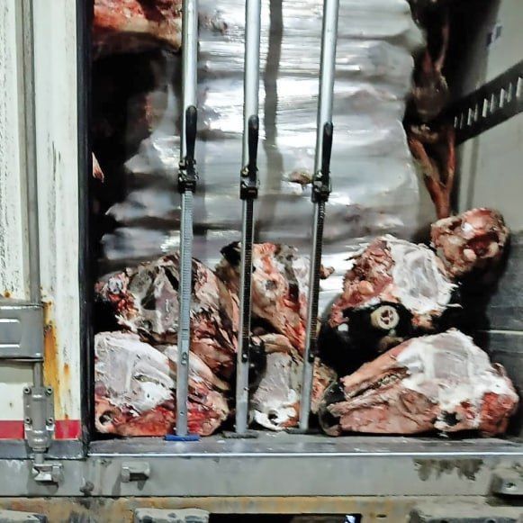 В Смоленской области утилизировали 2,5 тонны субпродуктов без документов