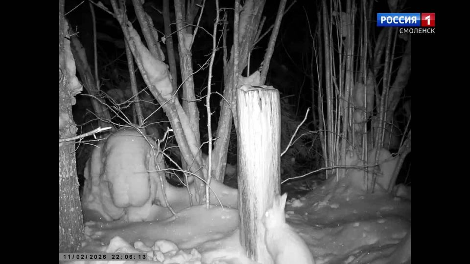 �� ������� � ���������� ���� �������� ������