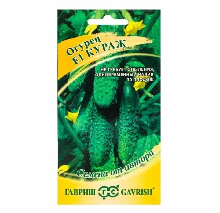 ������ ������ F1: ������� ����� ��������� ������