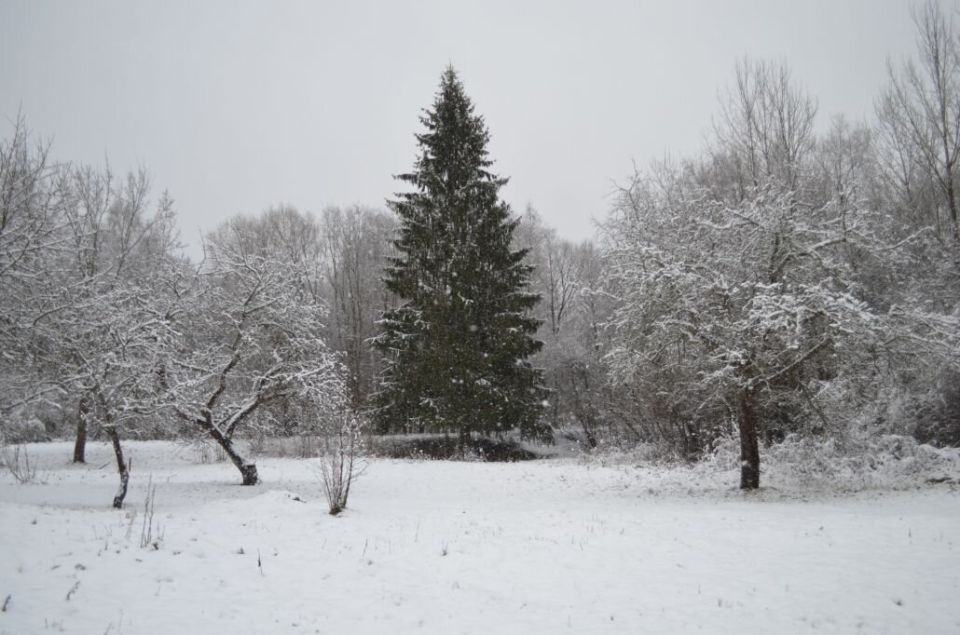 ������ ������ �� ����: ��� ������������� � ������ ������