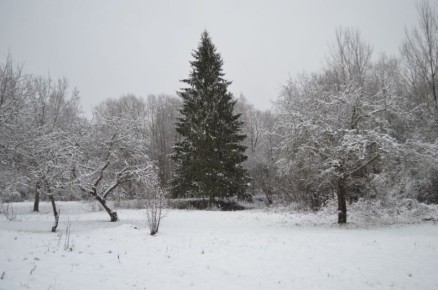 ������ ������ �� ����: ��� ������������� � ������ ������