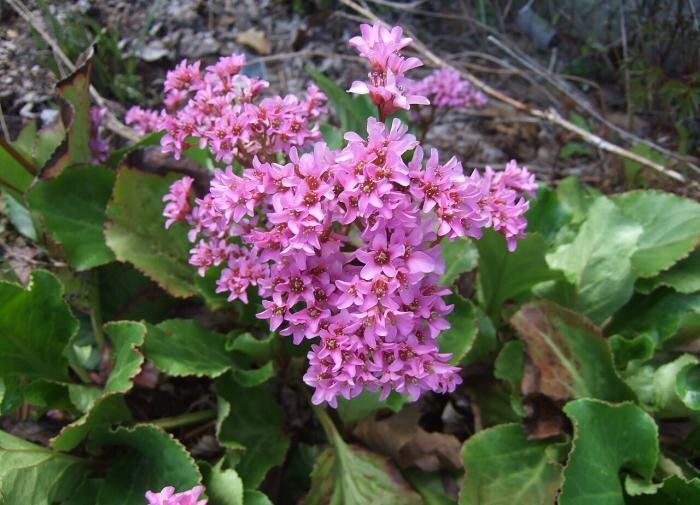 �����: ���������� �������� ��� ������ ���� � ����� ������