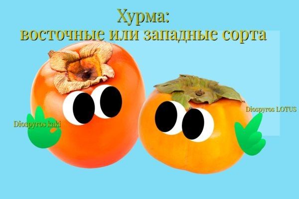 ���������� ����������� ��������� � �������� �����