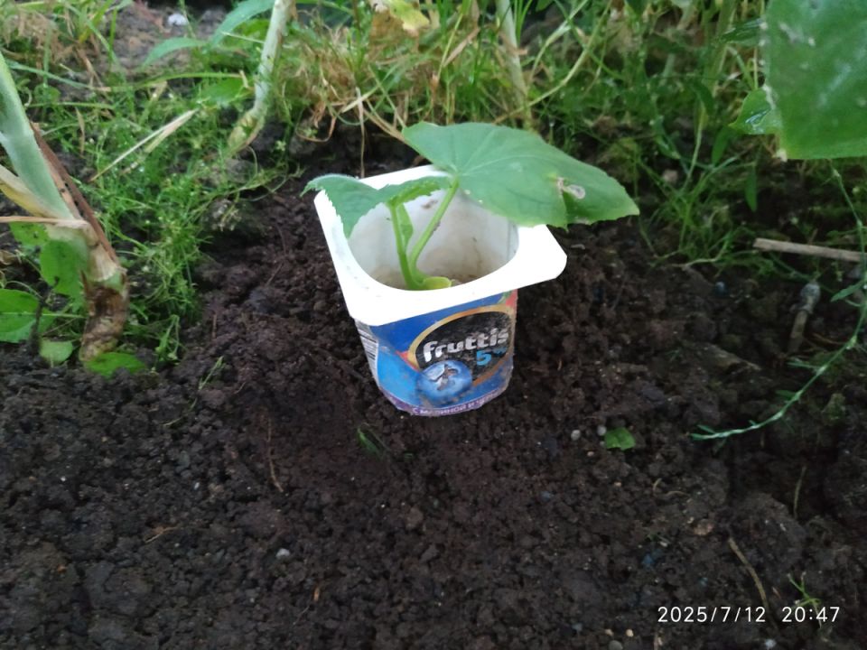 ������� ������������ �� ��������� ������: ������ ��� ���?