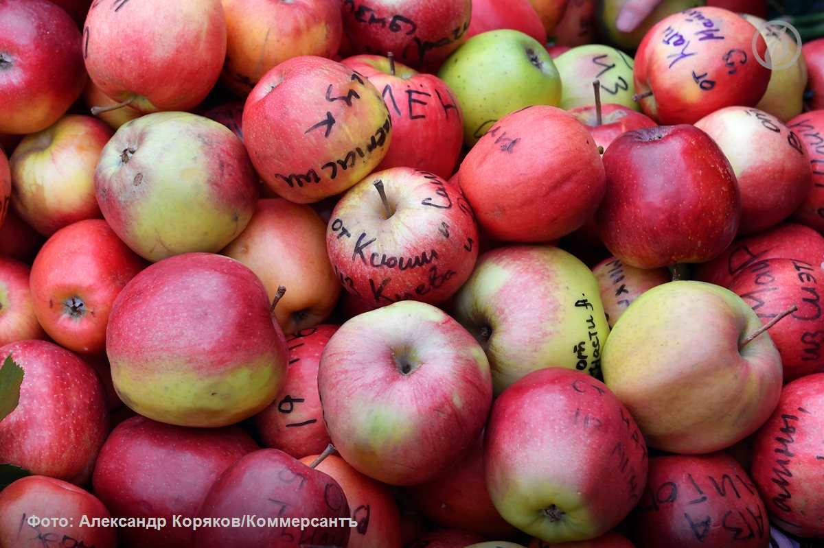 «Гроб вынесли под громкие аплодисменты и крики "Спасибо, Коля!". Цветов оказалось так много, что их пришлось загружать в отдельную машину. Потом все переместились на Смоленское кладбище. Путь до могилы толпа прошла вслед за... «Гроб вынесли под громкие аплодисменты и крики "Спасибо, Коля!". Цветов оказалось так много, что их пришлось загружать в отдельную машину. Потом все переместились на Смоленское кладбище. Путь до могилы толпа прошла вслед за...
