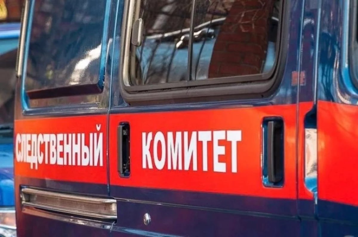 Видели мужчину и авто: куда пропала девочка 9 лет из двора в Смоленске